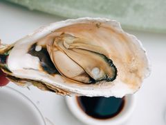 生蚝-舌尖上·霞浦滩涂海鲜(总店)