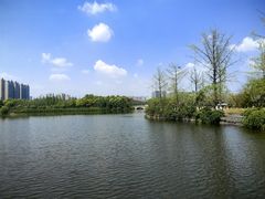 -成都南湖公园