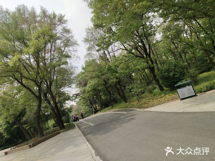 沈阳植物园图片