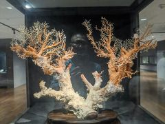 -台北故宫博物院