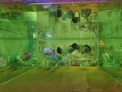 -北国之春国宴(乌兰察布店)