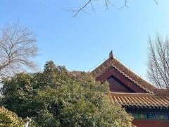 -戏马台景区