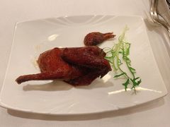 红烧乳鸽-阿一鲍鱼·20年匠心传承(天河北旗舰店)