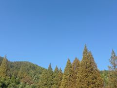 -黄山翡翠谷景区
