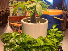 -云海肴·汽锅鸡·云南菜(浦江欢乐颂店)