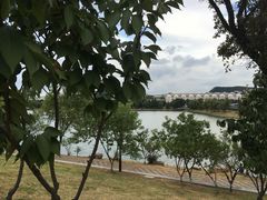-羊山湖公园