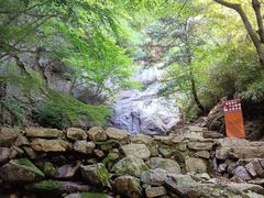 -王顺山国家森林公园