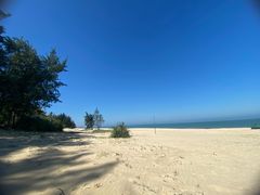 -东寨港红树林旅游区