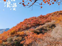 -周口店坡峰岭风景区
