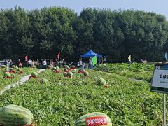 -长春农业博览园