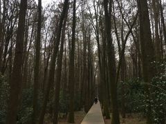 -同里国家湿地公园