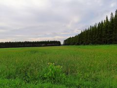 -黄海国家森林公园