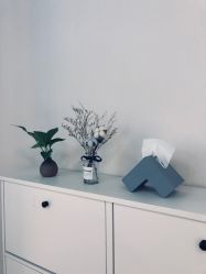 -1001普拉提运动