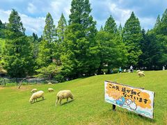 -神户市立六甲山牧场