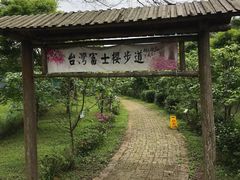 -田野绿世界