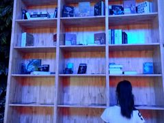 -奥斯卡升龙国际影城(RealD Cinema)