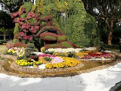 -汇龙潭