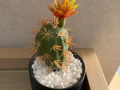 -海悦酒店(白石洲地铁站世界之窗店)