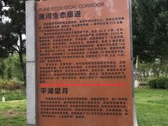 -蒲河岛湿地公园