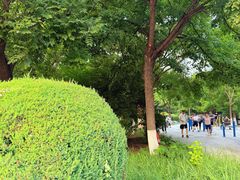 -万达广场(太原街店)