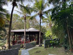 -深圳国际园林花卉博览园