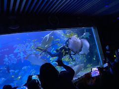 -左海海底世界