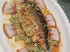 -龙悦湾酒家·八阵鱼生·渔人码头店