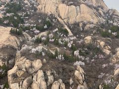 -北京凤凰岭