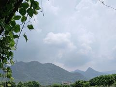 -广州市石门国家森林公园