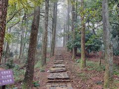 -莫干山风景区
