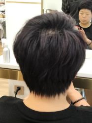 -YESIDO椰岛造型