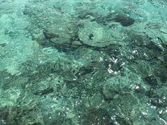 -中央格兰德岛温泉度假酒店 - 全包