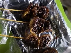 -原食烤肉·苏姐餐厅