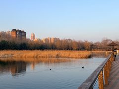 -前关湿地公园