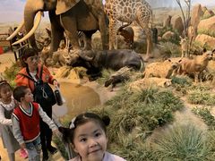 -陕西自然博物馆