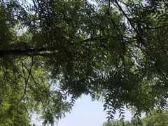 -将府公园