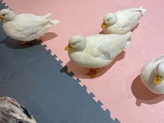 -南小蟹手工點心(三里屯店)