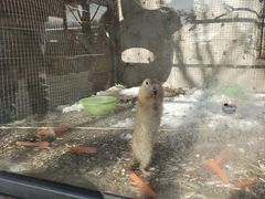 -北京鹿世界主题园
