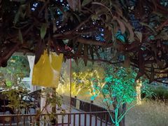 -后海彼岸花园餐厅