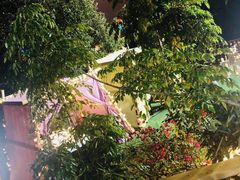 -海市蜃楼花园主题餐厅(石顶店)