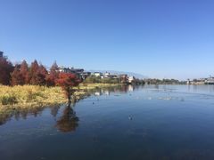 -阿鹏故事云南野生菌火锅(人民路店)