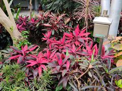 -北京植物园-展览温室