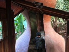 -呀路古热带植物园