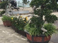 -胡里山炮台