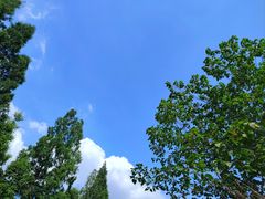 -国际非物质文化遗产博览园