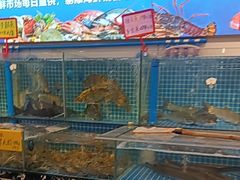 -渔意楼·驰名沙田乳鸽(五羊店)
