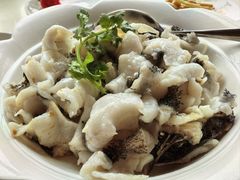 -百鱼庄(仙葫店)