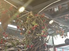 -有喜胶东小馆(太申祥和店)
