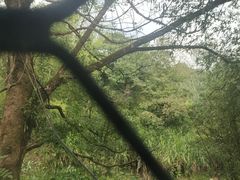 -九曲溪竹筏码头