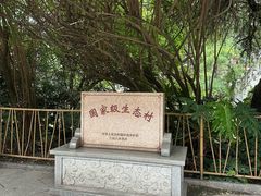 -小洲村